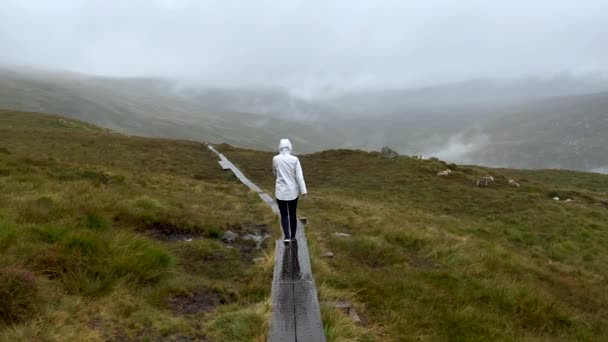 アイルランドの霧深い山々のぬれた道を歩く人のスローモーションショット フィールド上の草や放牧羊と息をのむような景色 — ストック動画