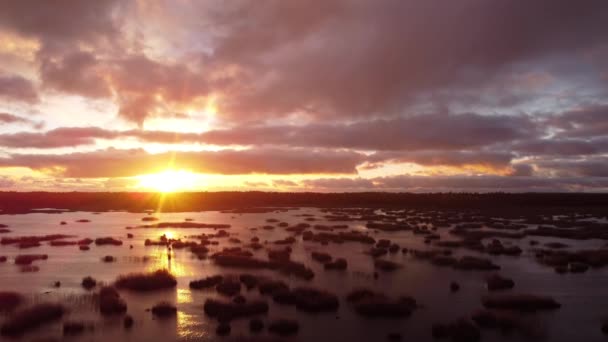 左側に小さな葦の塊と太陽とカニエリス湖の夕日の景色と小さな雨滴 ストレートエリアショット ラトビア — ストック動画