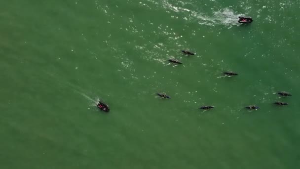 Bateaux Équipe Aviron Pratiquant Sur Les Eaux Océaniques Vue Aérienne — Video