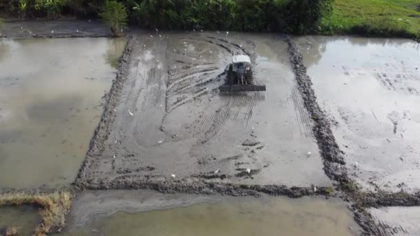 水田内の土地を耕す空中視界トラクター — ストック動画