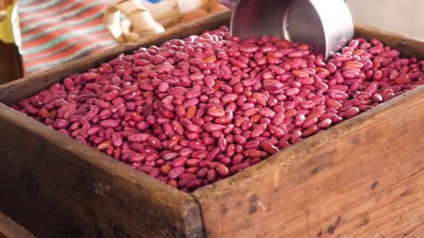 Mercado Agricultores Aire Libre Verduras Orgánicas Frescas Pequeños Productos Locales — Vídeos de Stock