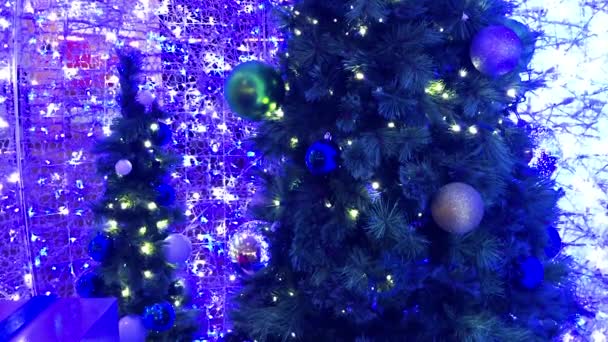 Festive Christmas Trees Decorated Colorful Baubles Hanging Branches Blue Lighting — Stock Video