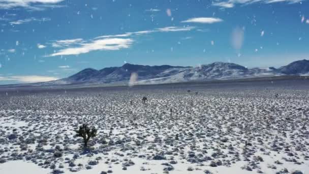 Majestätische Winterwüste Mit Gebirgskette Horizont Bei Starkem Schneefall Luftaufnahme Nach — Stockvideo