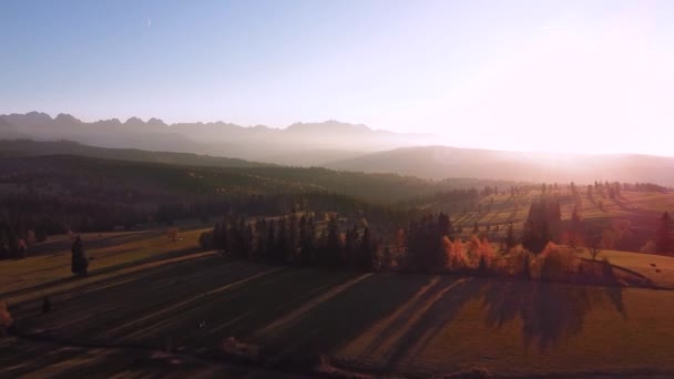 Dağların Havadan Çekilmiş Görüntüleri Sonbahar Ağaçları Uzun Gölgeler Devasa Yeşil — Stok video