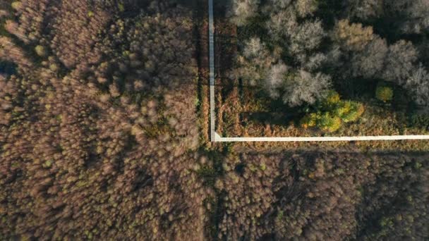 Fagne Rouge Ponce Uferpromenade Naturschutzgebiet Saint Hubert Belgien Antenne — Stockvideo