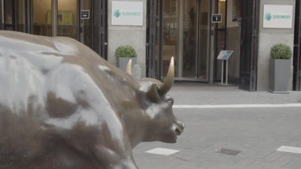 Inclinando Touro Para Pessoa Que Entra Prédio Bolsa Valores Amsterdã — Vídeo de Stock