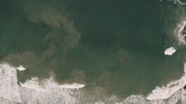 4Kオーストラリアのヤンバの海岸に入ってくる大きな海の波の上からの眺め 完璧な波をキャッチするのを待っている専門家のサーファー — ストック動画
