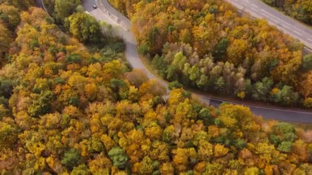 Letecký Pohled Dálnici Procházející Podzimním Lesem Pruhy Pruhy Obou Stranách — Stock video