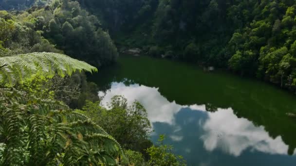 Aerial Top Spokojnego Naturalnego Jeziora Otoczony Bujną Naturą Nowej Zelandii — Wideo stockowe