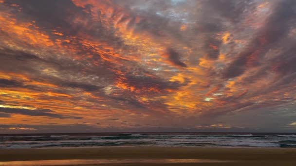 Fantastisk Och Dramatisk Soluppgång Eller Solnedgång Australiens Fraser Island Med — Stockvideo