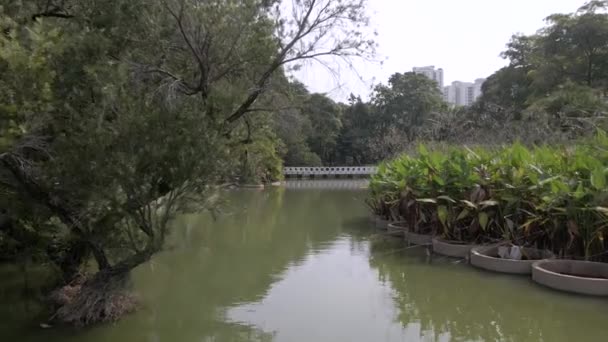 Estanque Sobrevuelo Toa Payoh Town Park Singapur Plano Aéreo — Vídeos de Stock