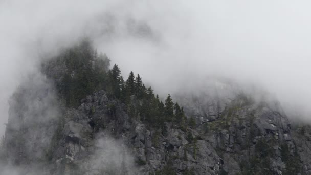 不列颠哥伦比亚省高山悬崖上的云雾轻柔地掠过森林树木 空中飘扬 — 图库视频影像
