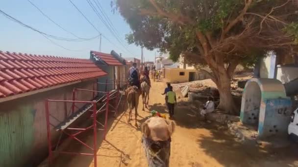 エジプトのヌビア砂漠の村を通る展望ラクダに乗る — ストック動画