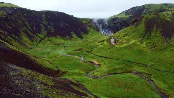 Stoom Vanaf Smalle Rivier Bij Groene Vallei Van Reykjadalur Buurt — Stockvideo