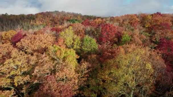 Cinematische Drone Shot Van Herfstkleuren Blauwe Bergkam — Stockvideo