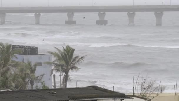 Palmy Falują Wietrze Podczas Gdy Fale Monsunowe Uderzają Wybrzeże Mumbaju — Wideo stockowe