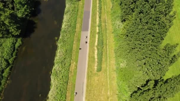 木に隠された長い道路上の自転車屋の空中風景 — ストック動画