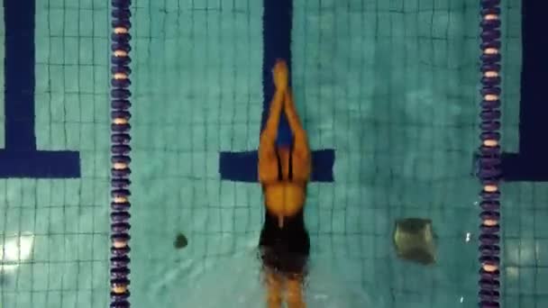 Plavec plave v bazénu zastřelený dronem, shora dolů, delfíní styl