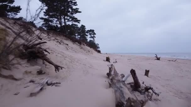 Vista Aérea Costa Del Mar Báltico Playa Bernati Letonia Volando — Vídeo de stock