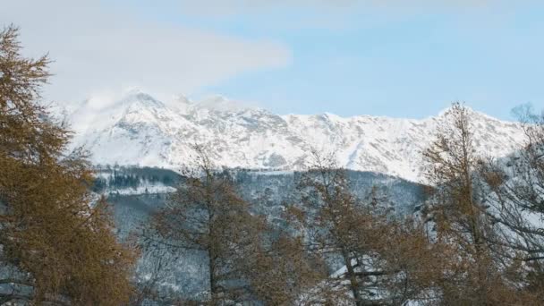 Sneeuw Alpenlandschap Eenzaamheid — Stockvideo
