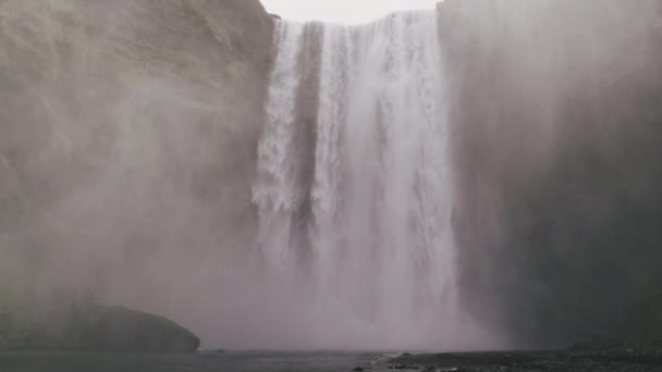 Kraftfull Skogafoss Vattenfall Häller Över Basaltbranten För Att Simma Nedanför — Stockvideo