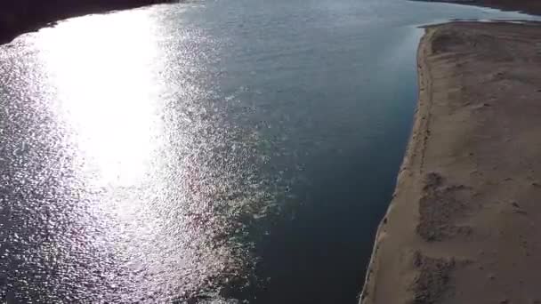 Alberta Kanada Daki Red Deer Nehri Nin Yukarısındaki Güney Kıyısı — Stok video