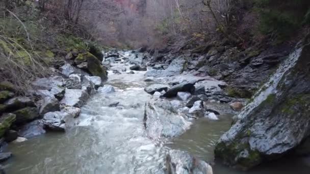Rivière Montagne Courant Travers Forêt Automne Europe Aérienne — Video