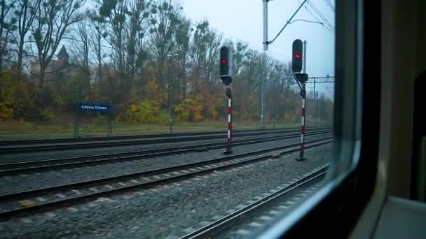 秋の移動列車のガラス窓からの空の鉄道の眺め 乗客のハメ撮り — ストック動画