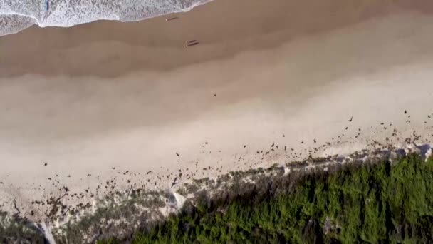 Ptaki Oko Pov Nad Piaszczystą Plażą Gospodarstwa — Wideo stockowe