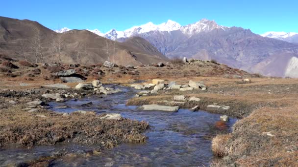 Mały Strumień Spływający Wzgórza Himaliami Tle Regionie Mustang Nepalu — Wideo stockowe