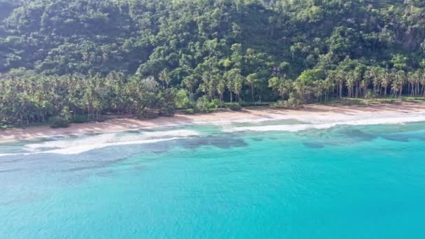 Widok Ładną Tropikalną Plażę Palmami Wokół Koncepcja Wczasowo Wypoczynkowa Playa — Wideo stockowe