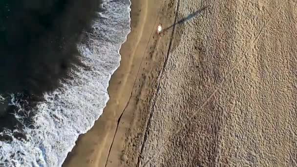 Oeil Oiseau Vue Aérienne Drone Des Touristes Des Habitants Étant — Video