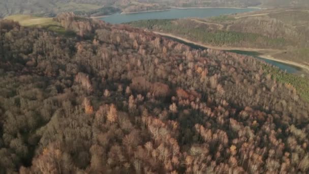 Antenna Rivela Filmati Drone Una Campagna Con Lago Sullo Sfondo — Video Stock