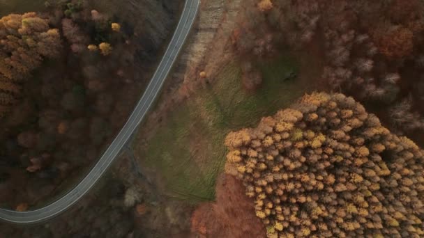 Inclinazione Aerea Verso Basso Drone Vista Una Strada Tortuosa Che — Video Stock