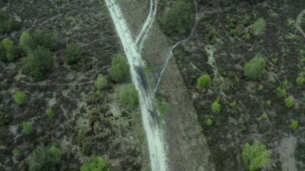石灰白色远足小径空中俯瞰吉尔福德自然绿地 — 图库视频影像