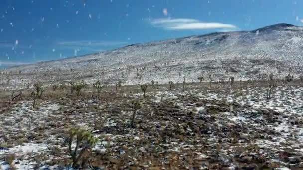 降雪時の雪に覆われた砂漠地帯 高速飛行前方ビュー — ストック動画