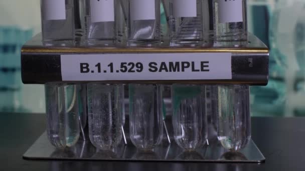 Omicron Variant Covid Test Tubes Rack Specimen Collection Testing Research — Stock Video