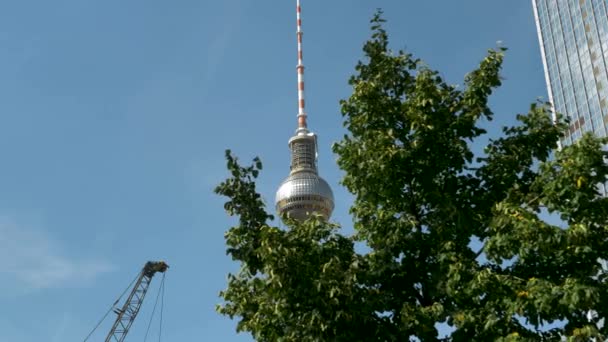 Berlin Yaz Arka Planda Berliner Fernsehturm Binası — Stok video