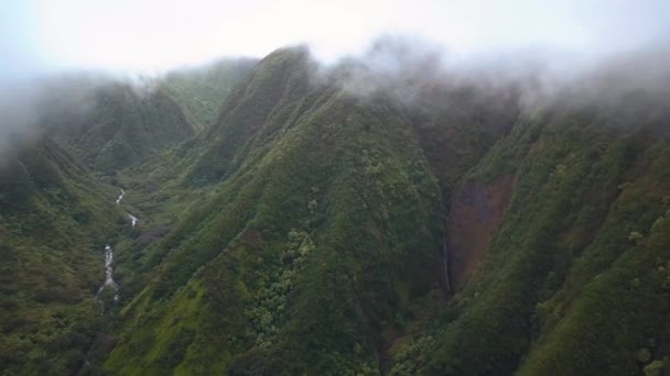 Misty Colina Penhasco Lado Exuberante Maui Tropical — Vídeo de Stock