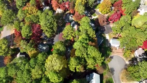 Sobrevuelo Drones Del Otoño Del Vecindario Deja Color Cambiante — Vídeos de Stock