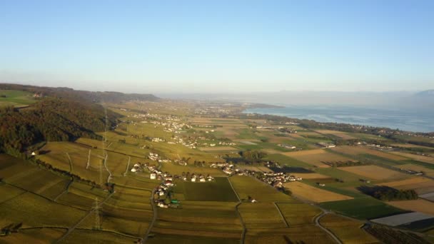 Wijngaarden Herfst Het Wijngebied Cte Vaud Zwitserland Panoramisch Uitzicht Vanuit — Stockvideo