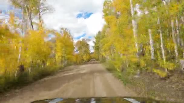 道路分岐で停止し 黄金の色の秋の森の中で方向を選択します 車のPovショット — ストック動画
