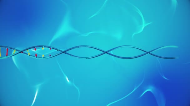 浅蓝色环路背景下的黄色和红色Dna链动画 Dna在形成碱基对和核苷酸时缓慢旋转 — 图库视频影像