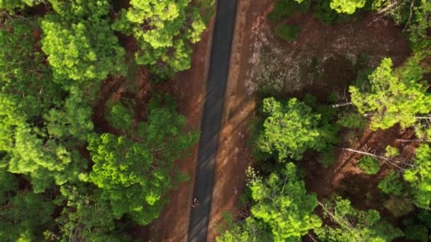 Top View Person Riding Skateboard Country Road Tijdens Zomer Luchtdrone — Stockvideo