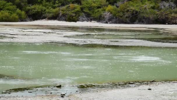 活火山区宁静水池的潘宁拍摄 — 图库视频影像