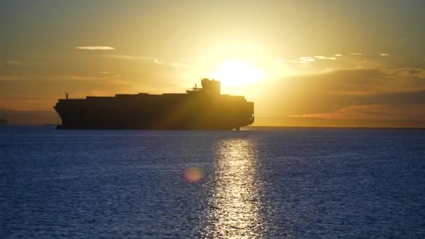 Silhouette Énorme Navire Transport Marchandises Ancré Dans Port Lors Une — Video