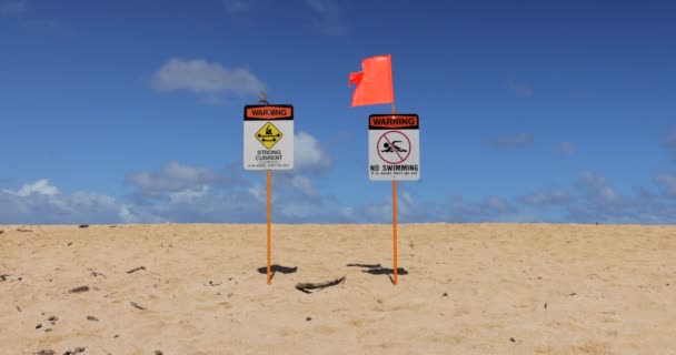 Pomarańczowa Flaga Machająca Wietrze Bez Odbijania Mocnym Znakiem Ostrzegawczym Plaży — Wideo stockowe