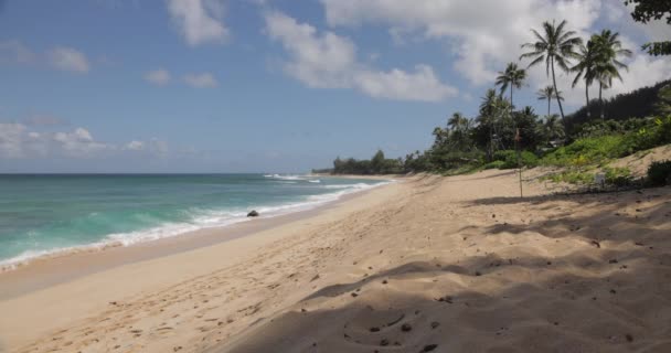 Vågor Plash Sanden Tom Strand Hawaii Sommaren Bred — Stockvideo