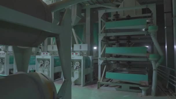 Stos Dużych Tacek Trzęsących Się Fabryce Mielenia Ryżu Pakistanie Dolly — Wideo stockowe