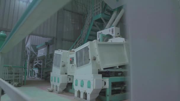 Paddy Separatorer Vibrerar Rice Mill Sett Genom Räcken — Stockvideo